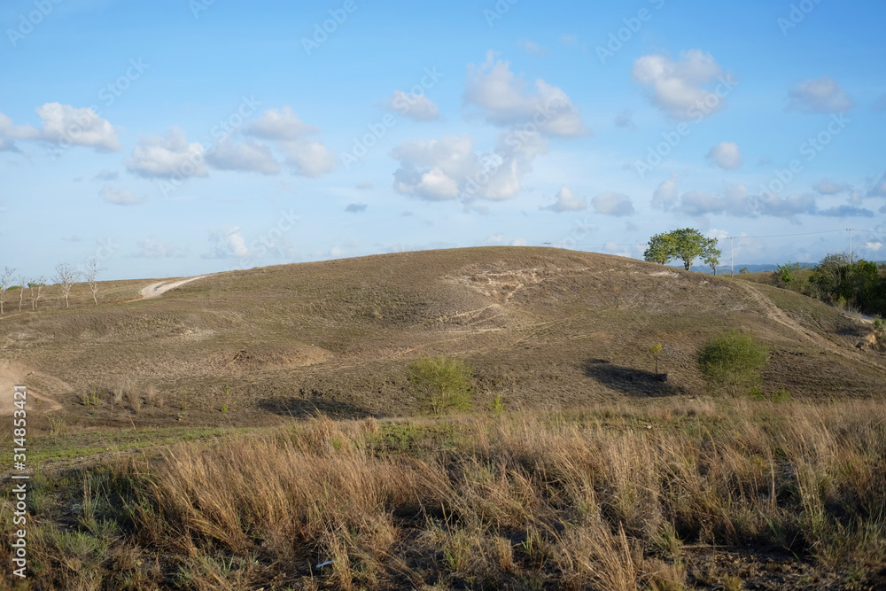 The hilly meadows on the island of Sumba in summer look dry brown in the hot sun 