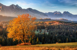 Jesień w Tatrach 