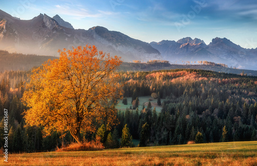 Fototapeta Naklejka Na Ścianę i Meble -  Jesień w Tatrach 