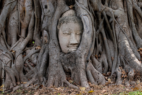 Canvas Print Buddha And Bodhi Tree.Gate of time. Arch of bodhi Tree.