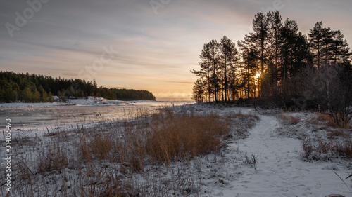  Winter trail at Lake Ladoga to the Forest. Evening in Karelia, Russia