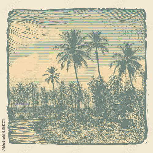 Tropical landscape with palms trees and clouds, retro engraving style. vector illustration