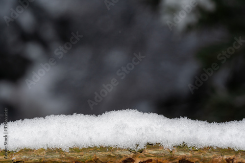 pine branch on which a lot of snow in the winter forest against the background of pine branches macro © Provokator