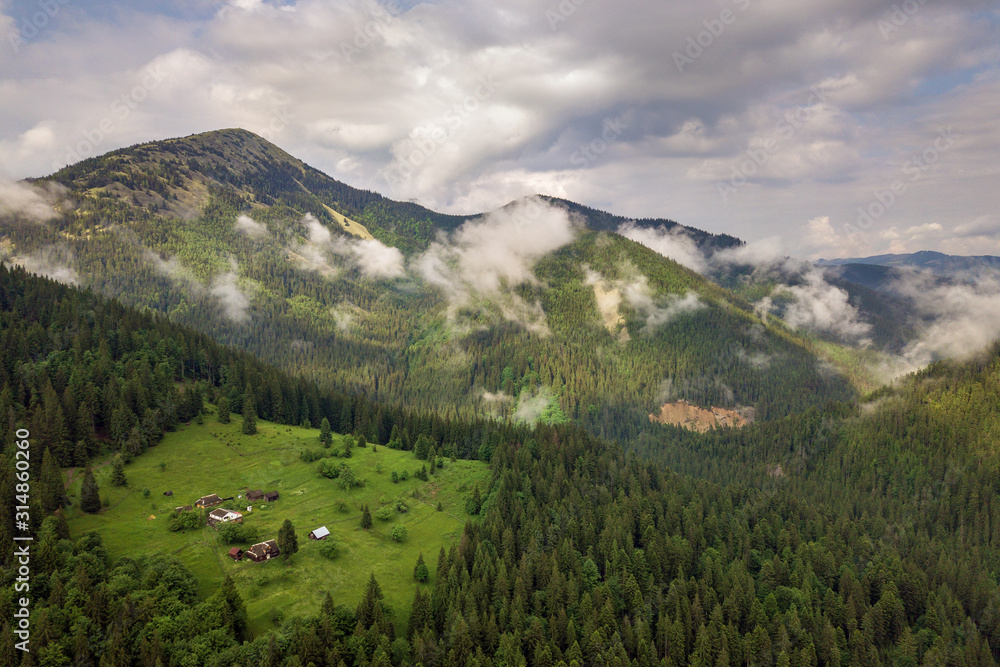 Aerial view of green Carpathian mountains covered with evergreen spruce pine foreston summer sunny day.