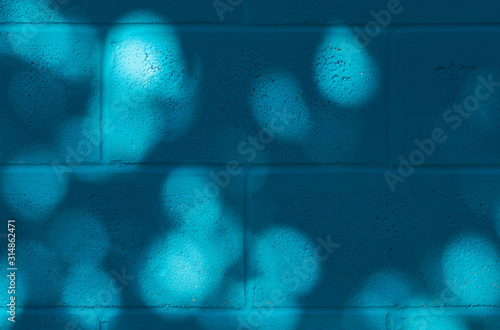 Blue painted concrete wall with shadow from the tree.