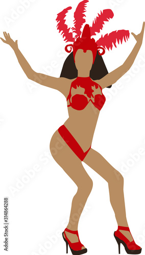 girl in a carnival costume Brazilian carnival