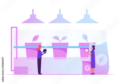 Hydroponics Garden Concept. Farmers Working at Greenhouse with Organic Hydroponic System Growing Vegetable and Plant in Water Based Nutrient Rich Solution without Soil Cartoon Flat Vector Illustration