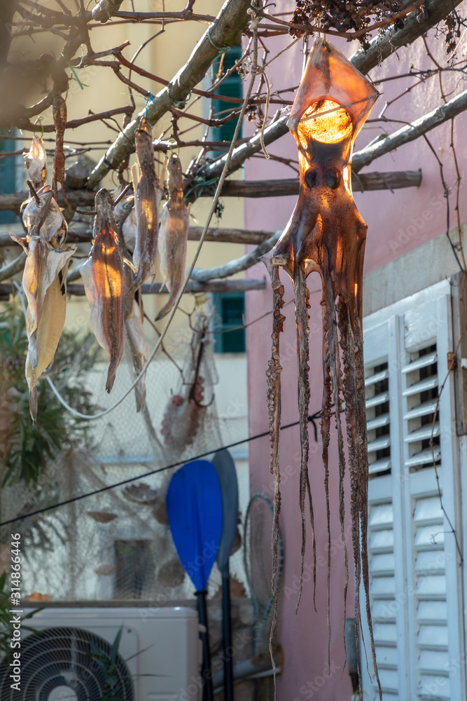 Fototapeta premium octopus and fish drying on the balcony, croatia