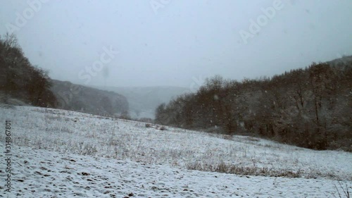 Wallpaper Mural MVI_7885 Torontodigital.ca