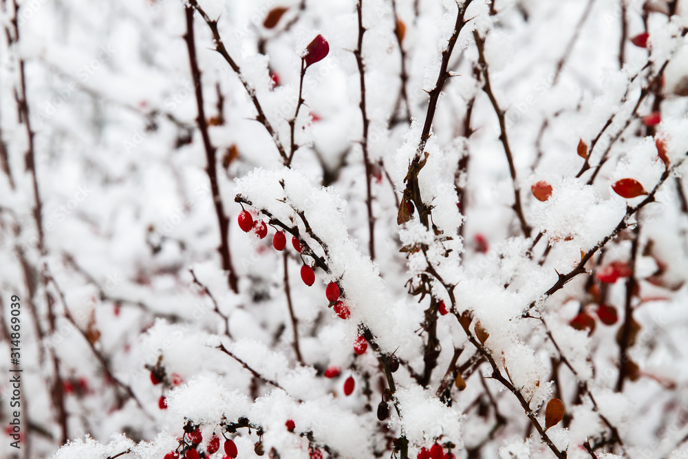 White winter landscape with snowfall White winter landscape with snowfall
