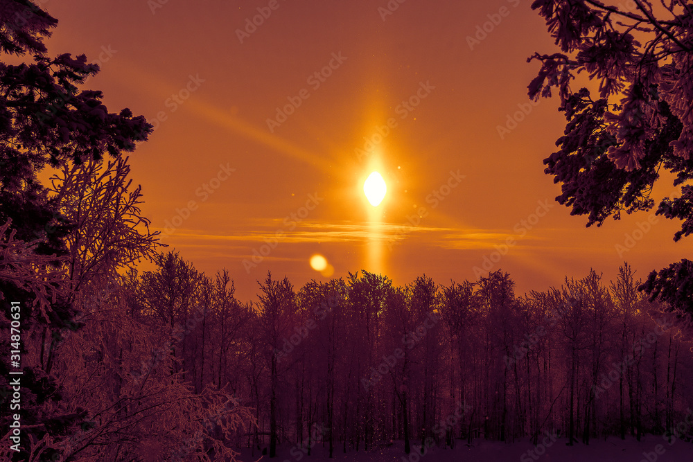 Fototapeta premium Sunset in Siberia. View of the Ob River.