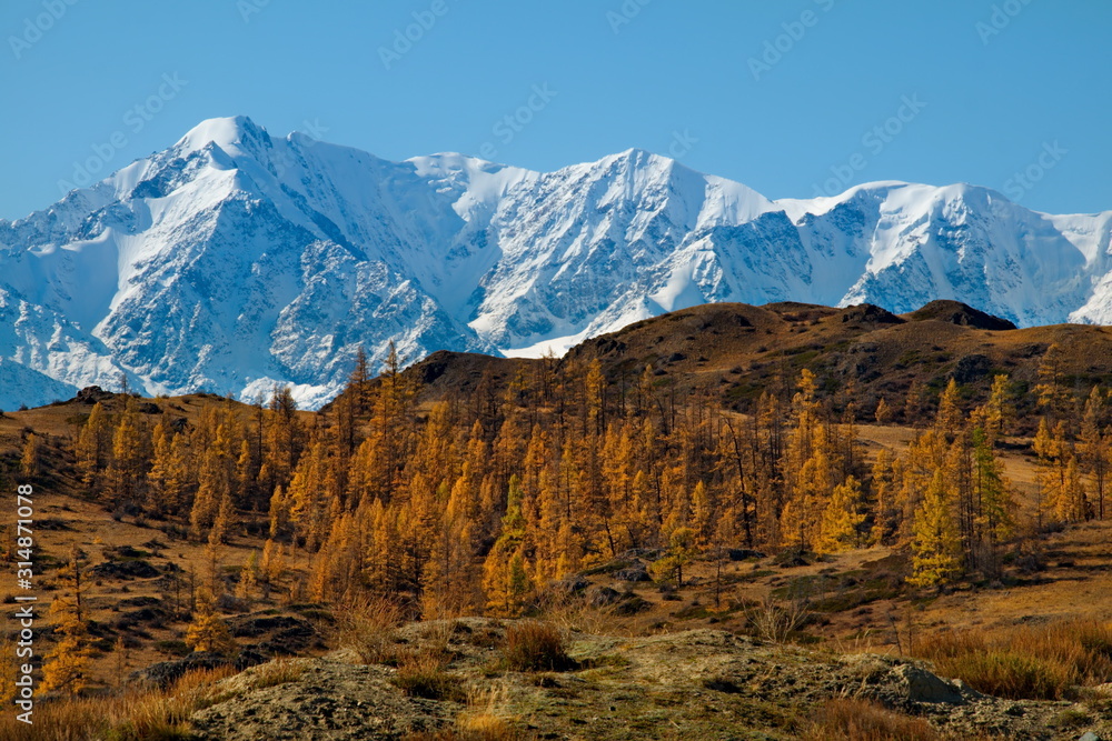 Russia. Mountain Altai. Desert steppes at the foot of the North Chui mountain range along the Chui tract.