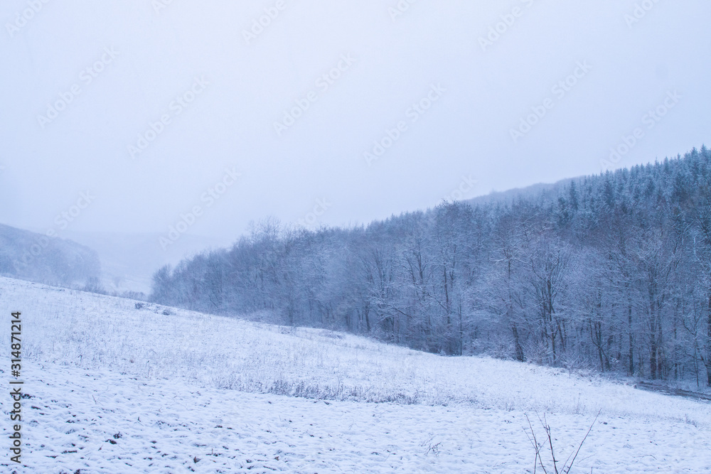 White winter landscape with snowfall White winter landscape with snowfall