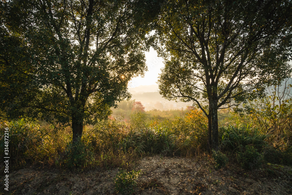 Picturesque autumn morning in the countryside in Huanghan region, close to Hongcun and Tachuan villages in China, Yi County Picturesque autumn morning in the countryside in Huanghan region, close to Hongcun and Tachuan villages in China, Yi County