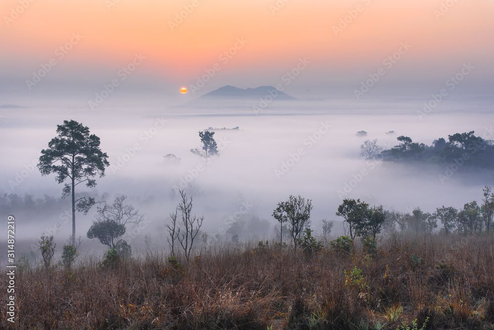Landscape fog in morning sunrise at Thung Salang Luang National Park Phetchabun