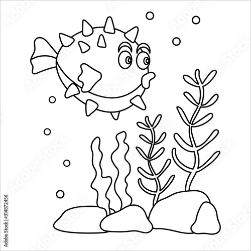 Puffer fish, hedgehog Fish, marine life. Cute character and seaweed . Hand drawn coloring book .