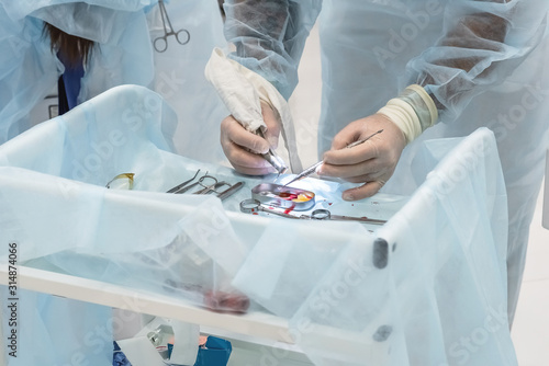 Close-up of the hands of a dentist surgeon who cuts off the barrier membrane during dental implantation