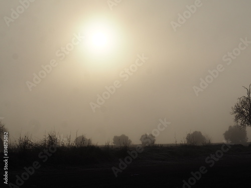 El sol echa un pulso a la niebla,Ivars-vilasana, Lérida, Cataluña, España, Europa