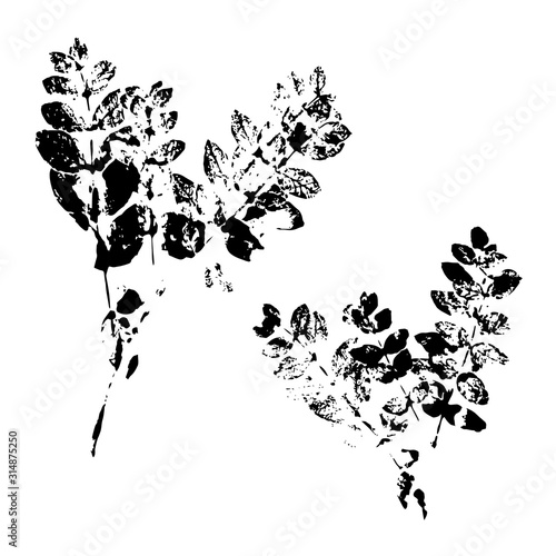 Leaf silhouette elements set isolated on white background.