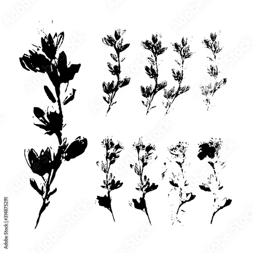 Leaf silhouette elements set isolated on white background.