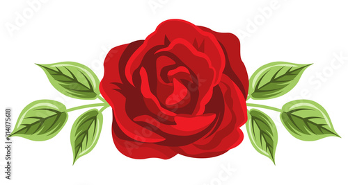 Red Rose and leaves