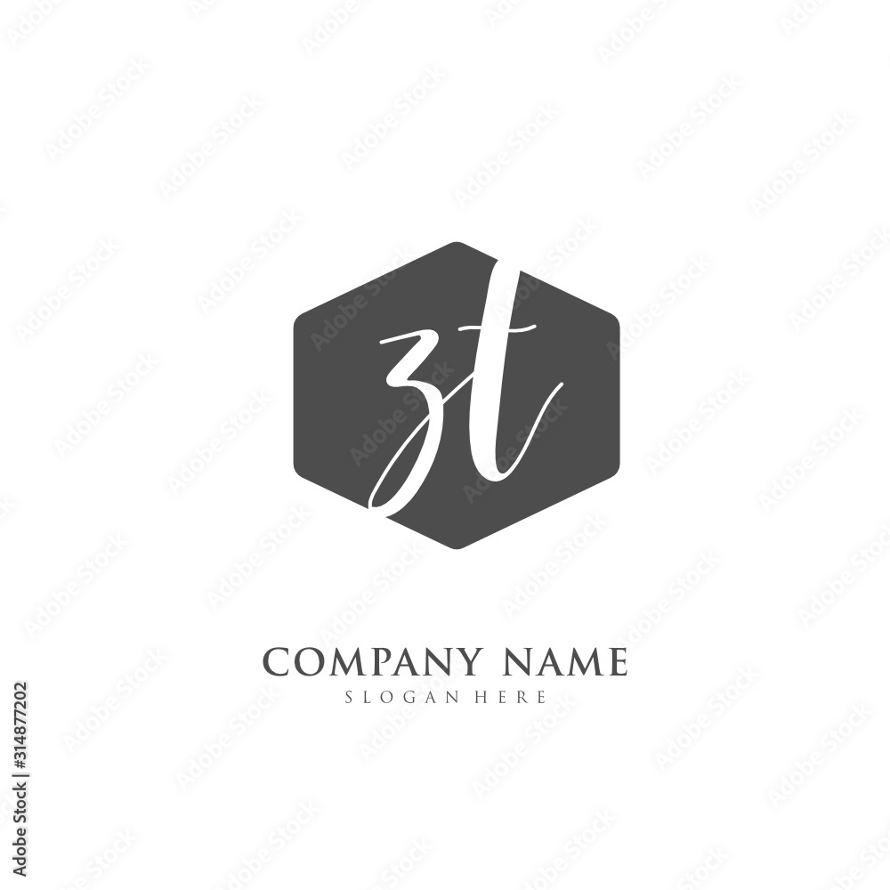 Handwritten initial letter Z T ZT for identity and logo. Vector logo template with handwriting and signature style. Handwritten initial letter Z T ZT for identity and logo. Vector logo template with handwriting and signature style.