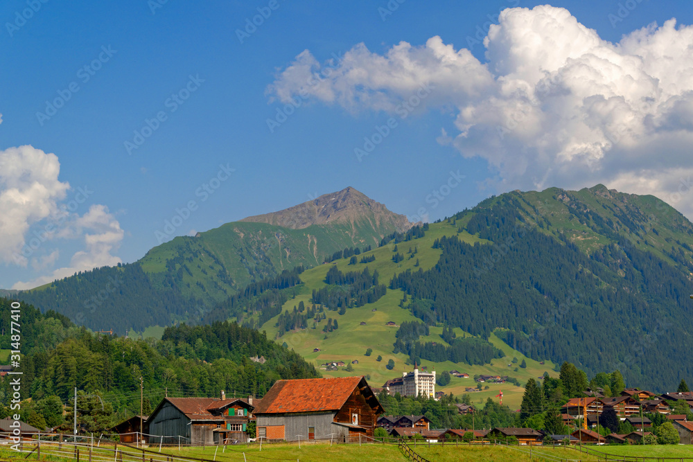 Paysage des Alpes suisses en été