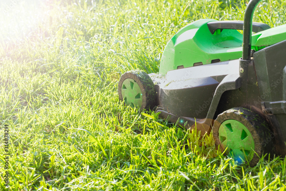 Fototapeta premium Summer and spring season sunny lawn mowing in the garden.