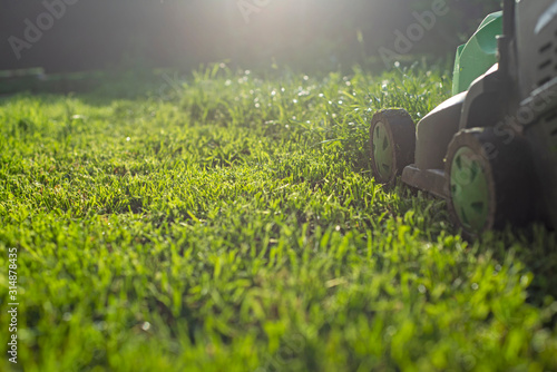 Summer and spring season sunny lawn mowing in the garden.