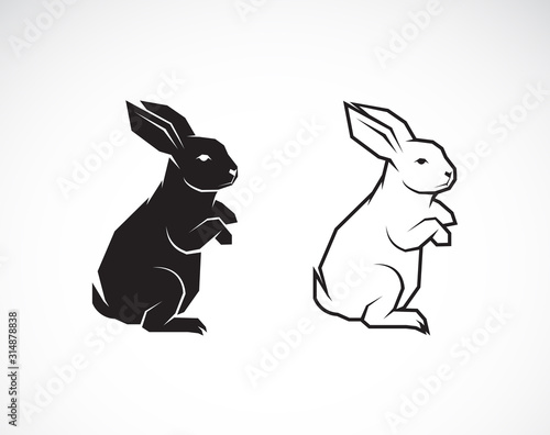 Vector of rabbit design on white background. Wild Animals. Easy editable layered vector illustration.
