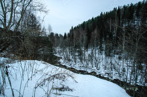 Landscape with the image of winter karelian nature