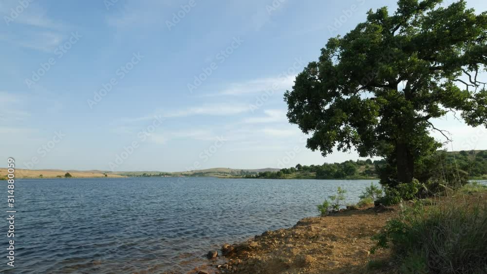 Steady shot of a scenic lake with a tree on the bank Steady shot of a scenic lake with a tree on the bank