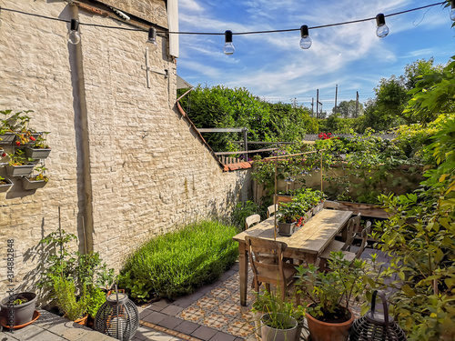 Small walled urban garden full with green plants and wooden furniture in summer during sunrise