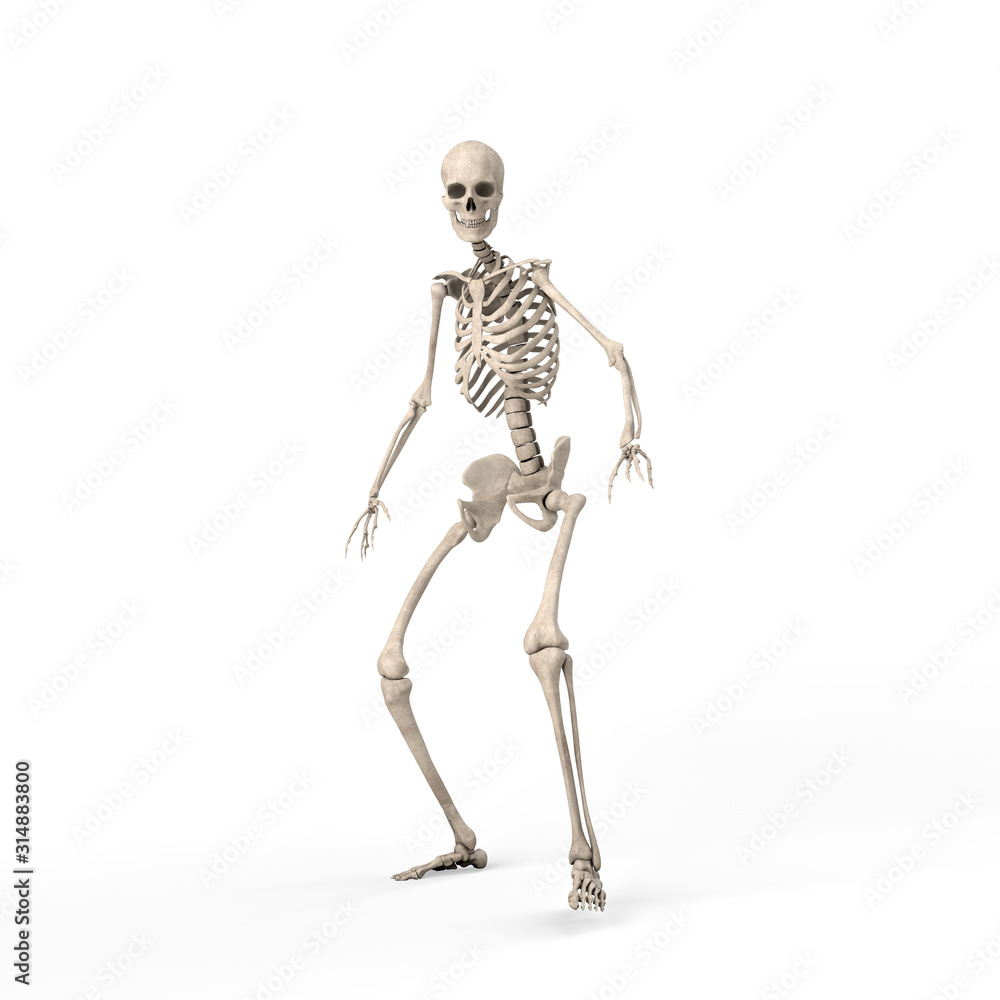3d illustration of a frightened skeleton steps back against on white background 3d illustration of a frightened skeleton steps back against on white background