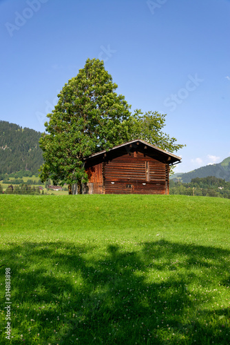 Paysage des Alpes suisses en été © patrick