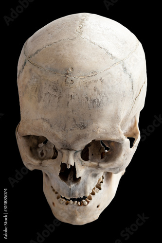 Human anatomy.  The human skull. Top view, side view. Isolated on a black background.