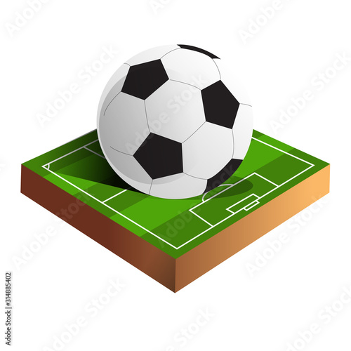 soccer ball on green grass field illustration