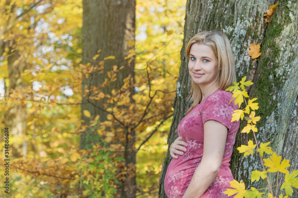 Portrait of young pregnant woman posing from the side holding her belly and looking at the camera. Portrait of young pregnant woman posing from the side holding her belly and looking at the camera.