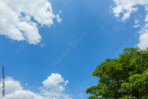 Blue sky clouds with green trees in foreground.
