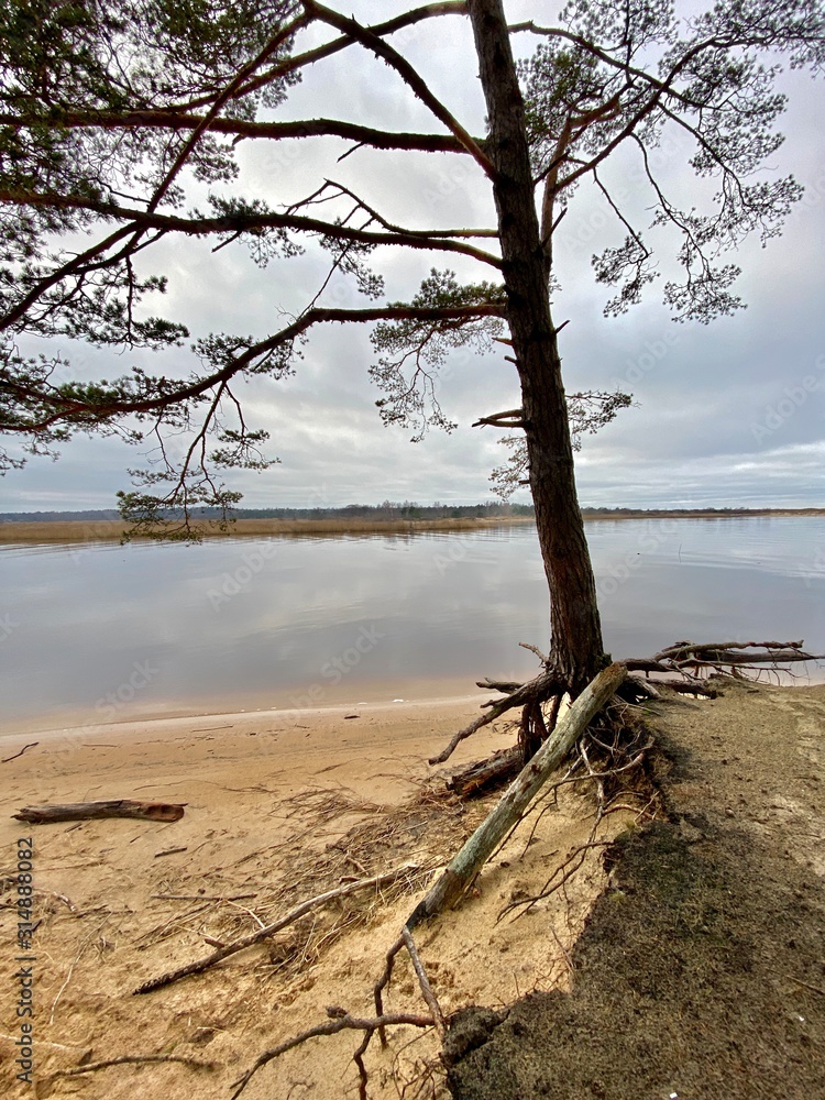 Gauja river Latvia drain into Baltic Sea Gauja river Latvia drain into Baltic Sea