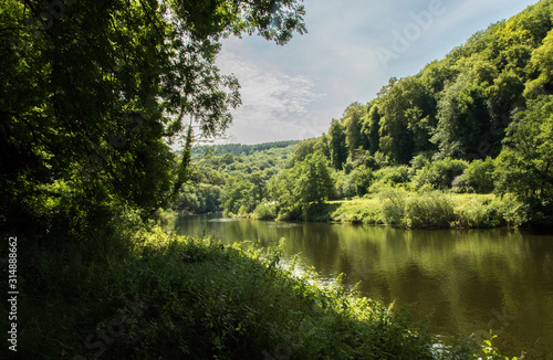 Beautiful River and Trees