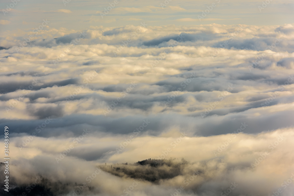 Above the Clouds. Top view. View from drone. Aerial bird's eye view. Aerial top view cloudscape. Texture of clouds. 