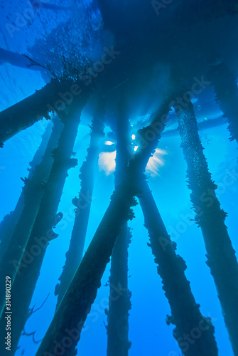 Underwater view of a salt water pier © Focused Adventures