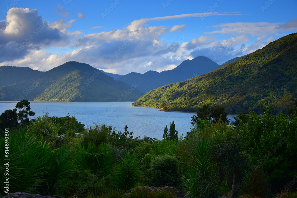 The Marlborough Sounds in the evening sun. New Zealand, South Island.