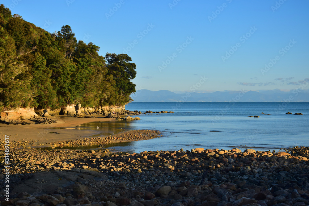 The Abel Tasman National Park in the evening sun. New Zealand, South Island.