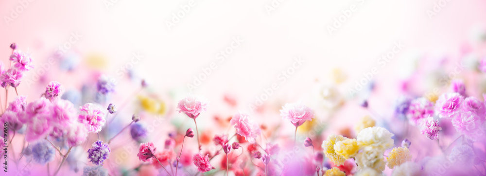 Wiosenna kompozycja kwiatowa wykonana ze świeżych kolorowych kwiatów na jasnym pastelowym tle. Świąteczny kwiat koncepcja z miejsca kopiowania. <span>plik: #314891648 | autor: Svetlana Kolpakova</span>