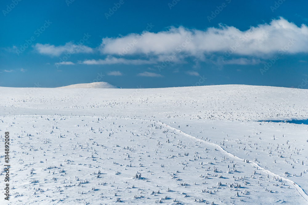 Krkonose plains on a sunny winter day, Krkonose mountains, Czech republic