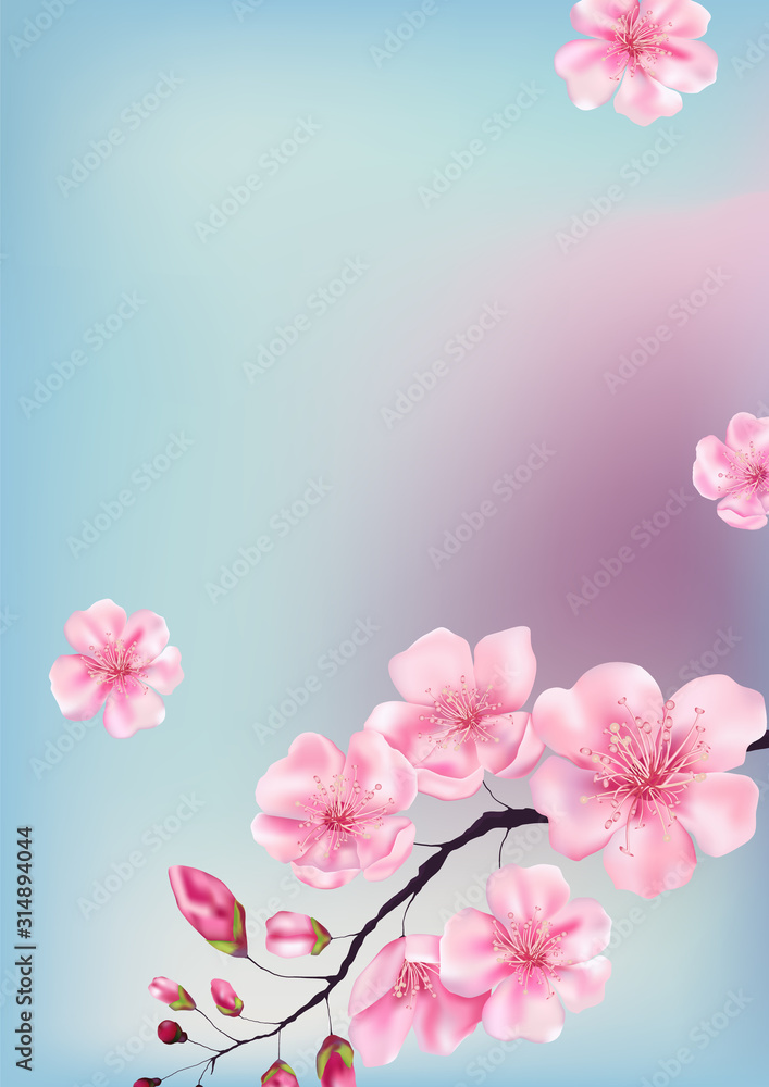 Stock vector illustration for valentine's day or Japanese spring cards with sakura branches. Spring and summer botanical template cherry flowers for web site banner wedding or greeting card.