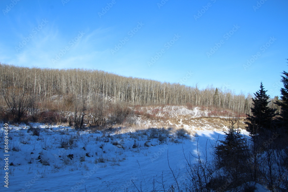 Winters Backcountry, Whitemud Park, Edmonton, Alberta