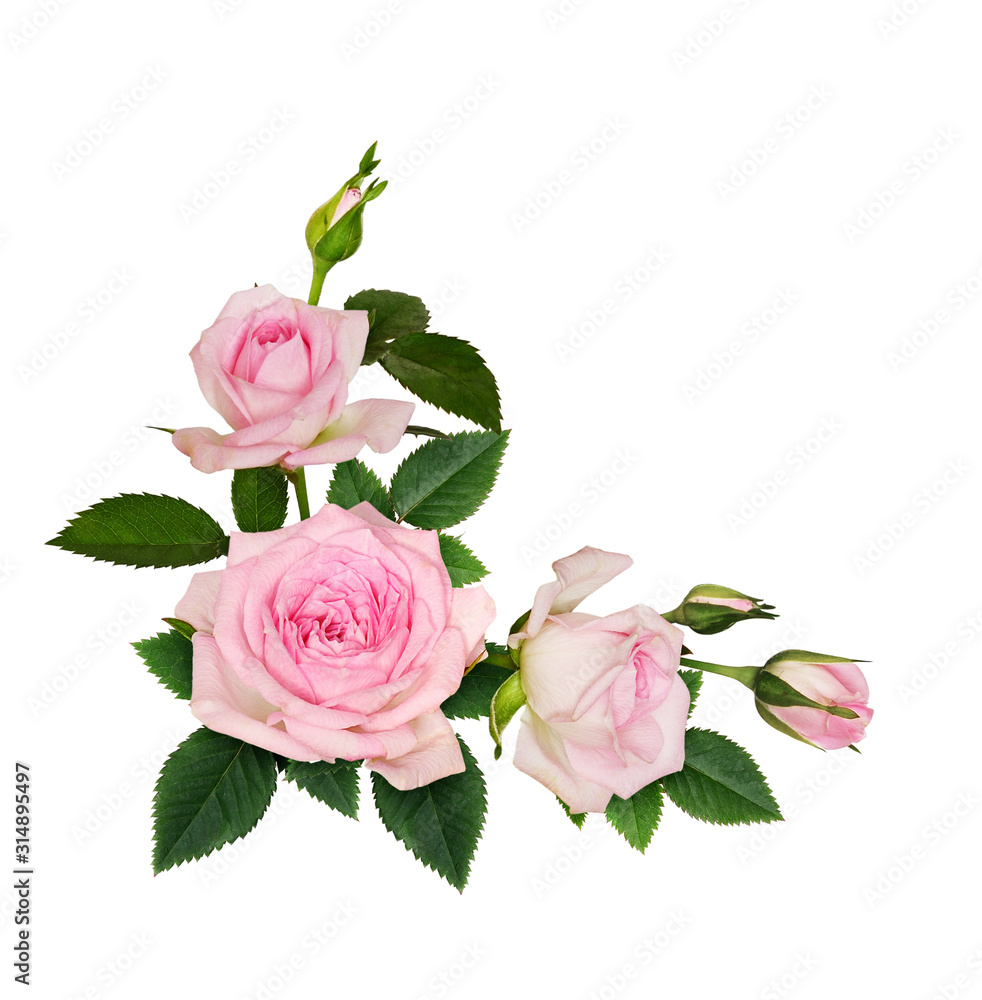 Pink rose flowers corner arrangement Stock Photo | Adobe Stock